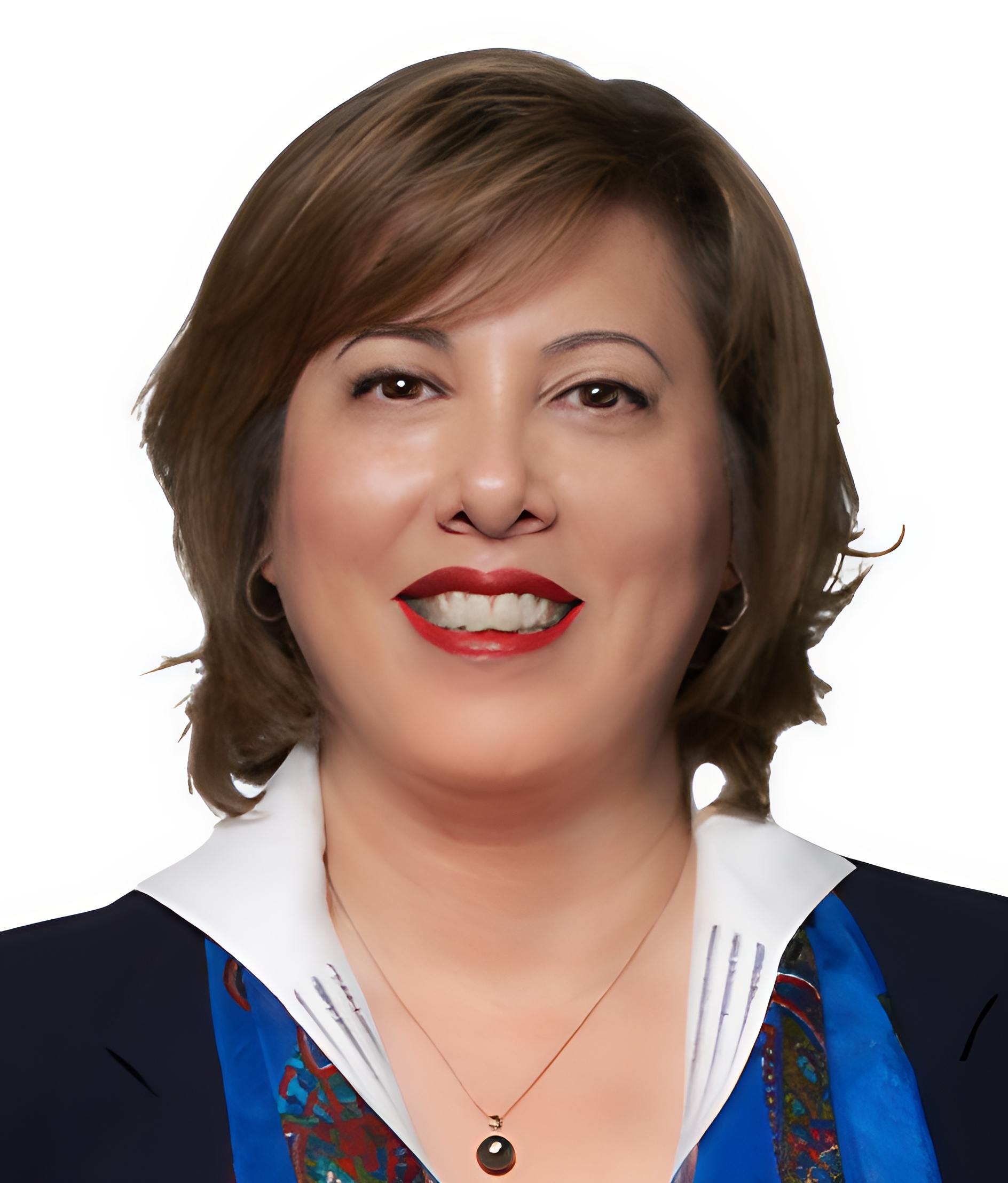 Form Yönetim Kurulu Danışmanları